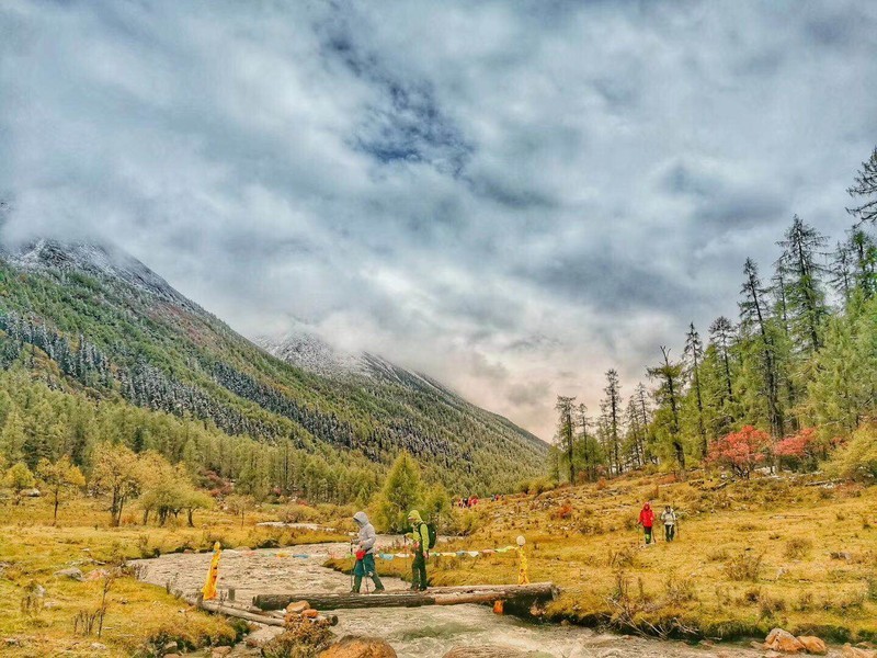 微信图片_20181112152527