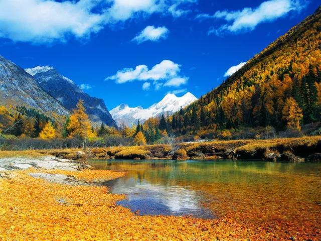 微信图片_20190128180330