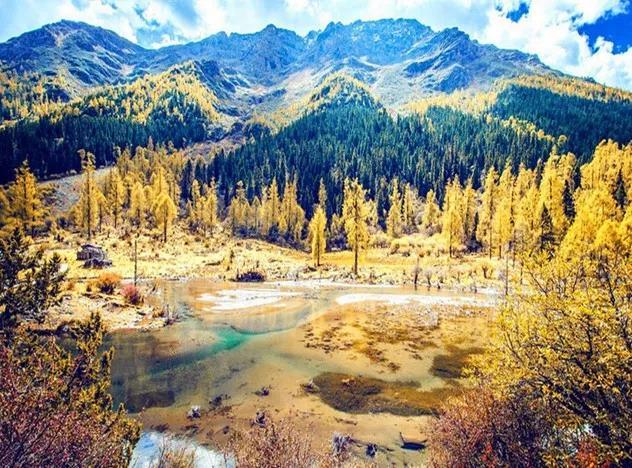 微信图片_20190128180340