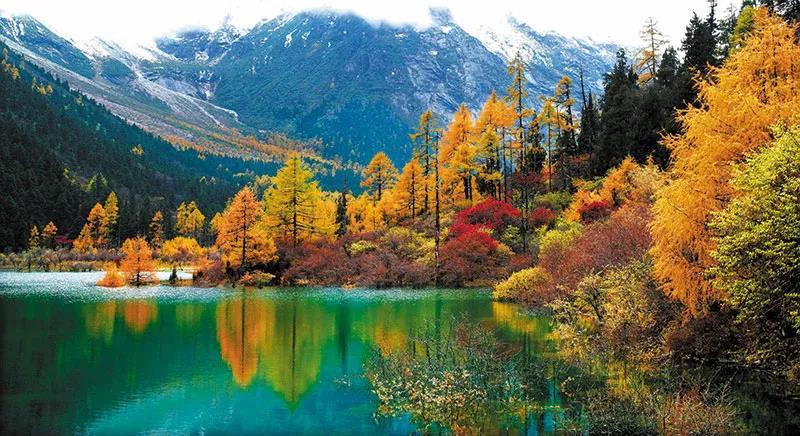 微信图片_20190128180405