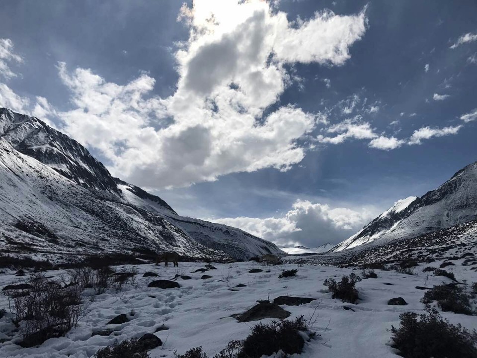 mmexport1493988071755