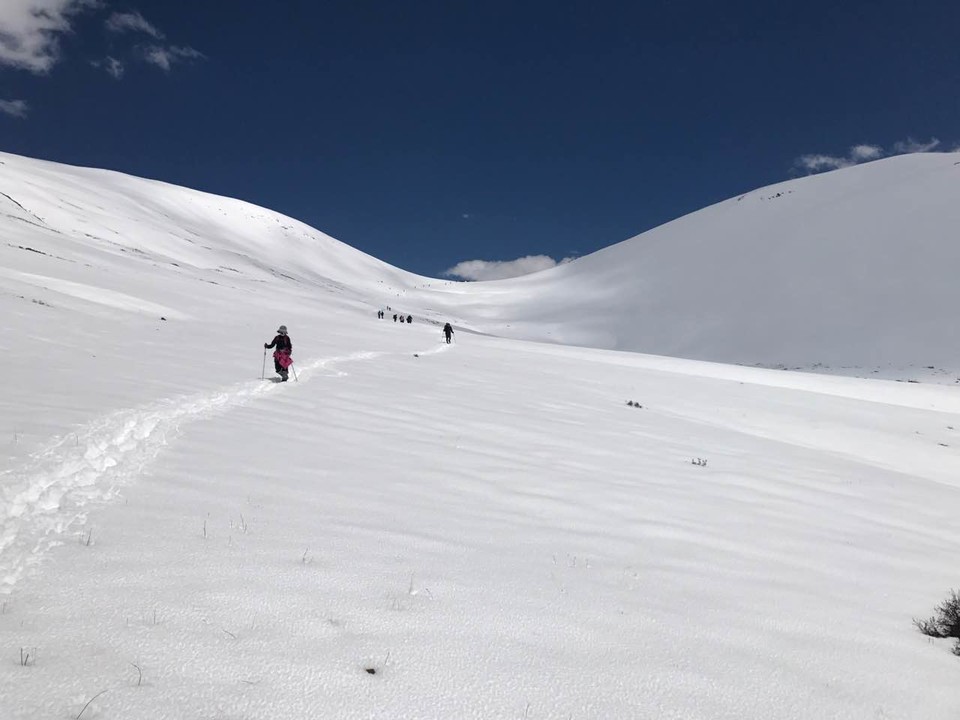 mmexport1493988115838