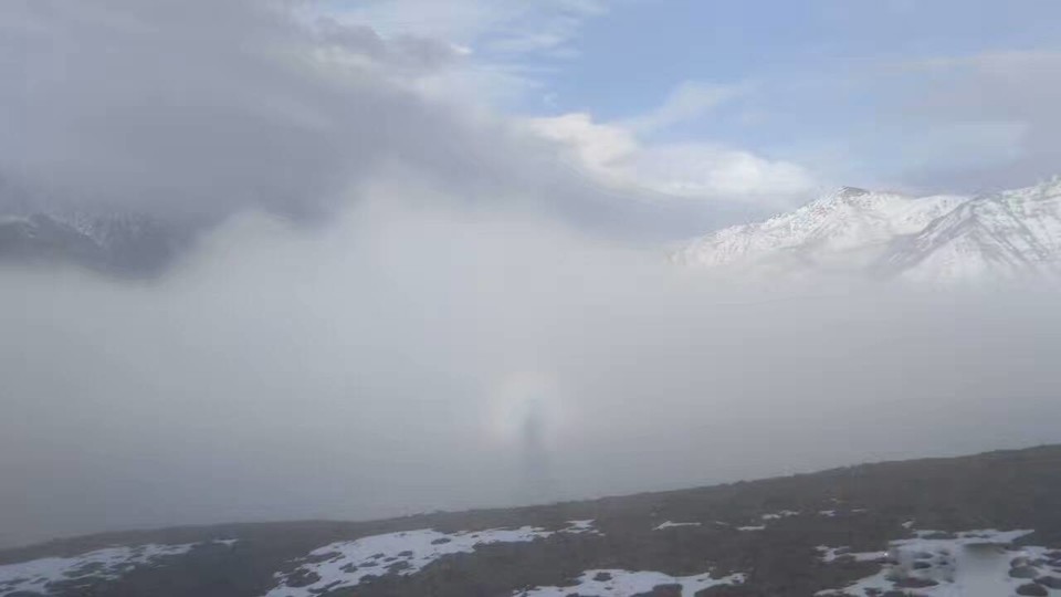 mmexport1494083007274