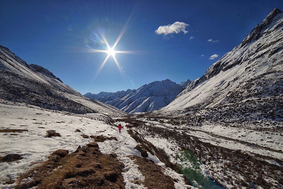 mmexport1494223149677