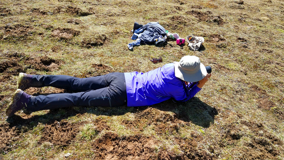 IMG_20170530_103211_HDR