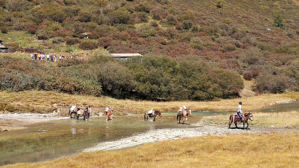 074E8527-2C4A-46BC-B6C4-E07B887E72D4-1962-0000032CA9EBE6B2_tmp