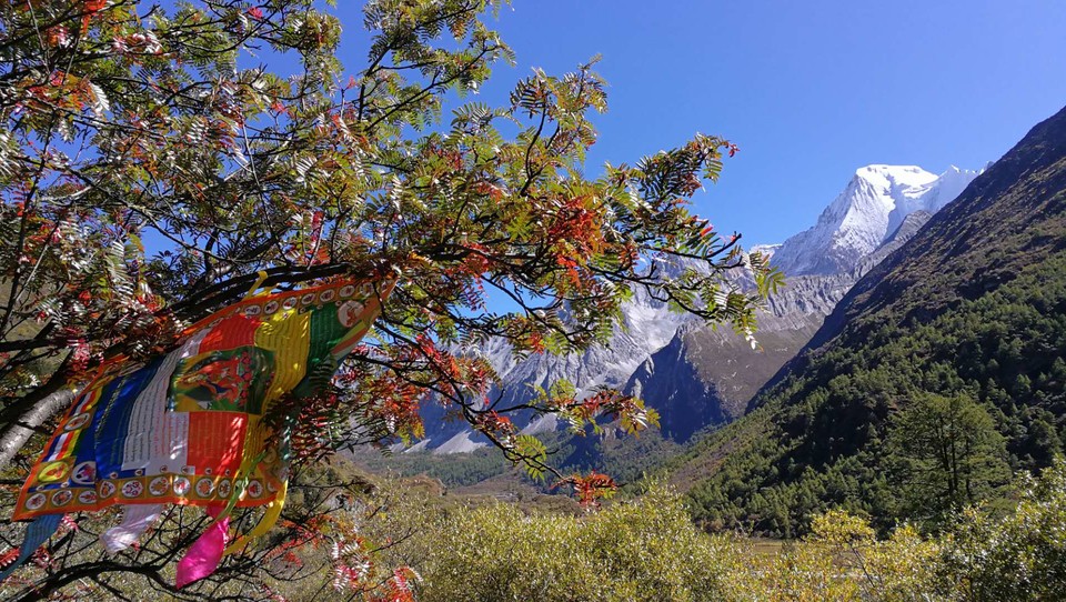 29DC8DDD-9D15-455E-94C7-642006E34E57-1962-0000032D52795B4A_tmp