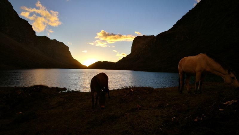 0C908F28-1241-477A-80D5-EB9BED09481A-1962-000003313E35C47A_tmp