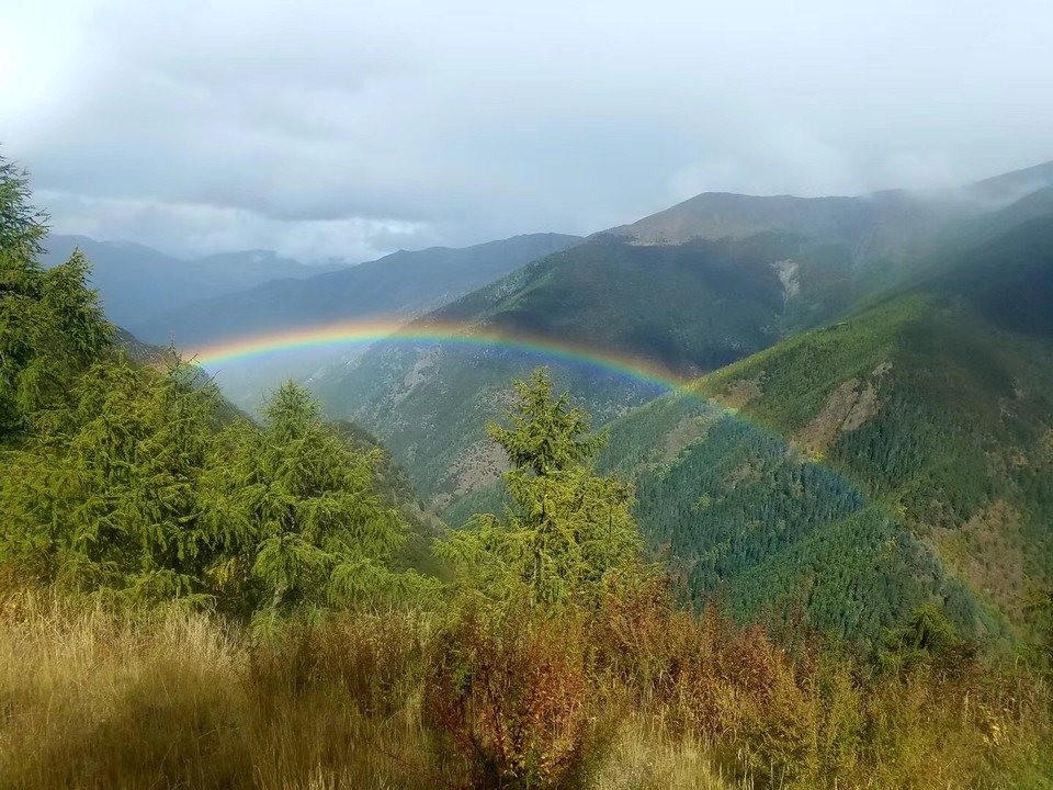 B576C5A5-4FCE-4A5E-969A-97DE45210E37-2674-000003DAF1208D26_tmp