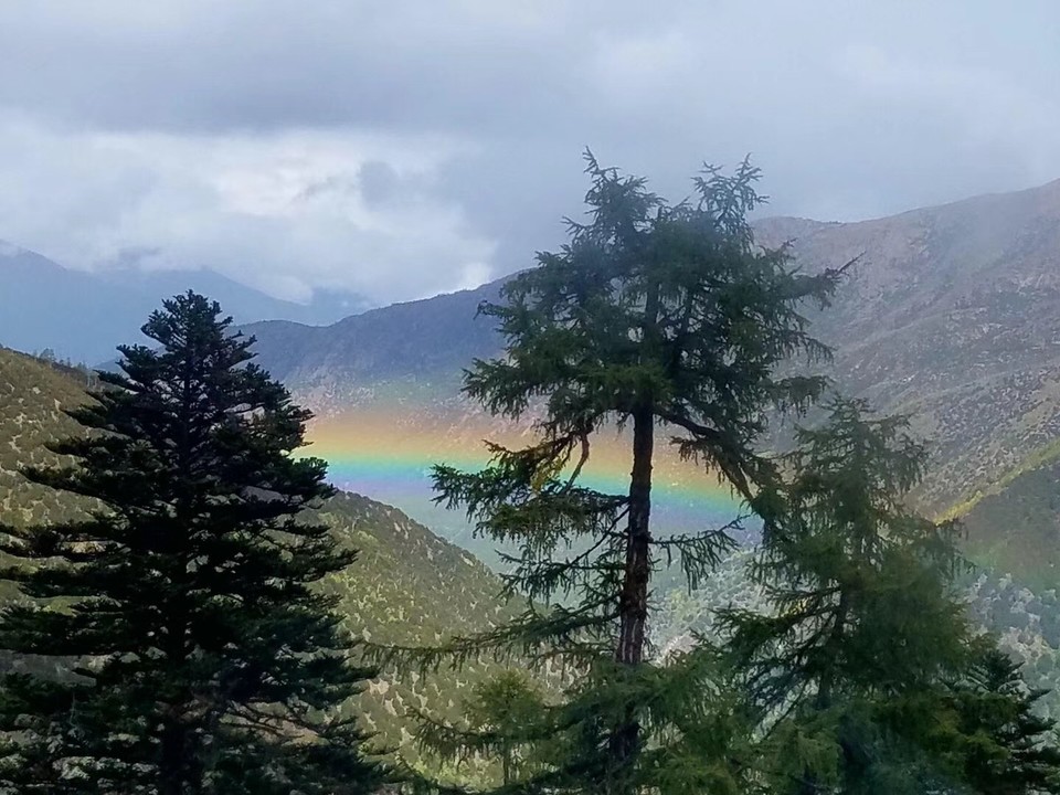 16A72074-B1B8-416A-8DE8-09DA25436119-2674-000003DAF90B741C_tmp