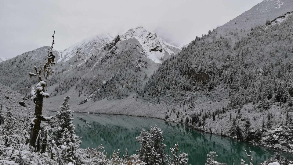 1A4E3102-471B-42AD-A0F2-FDABA4CF6F37-2674-000003EA37CB5505_tmp