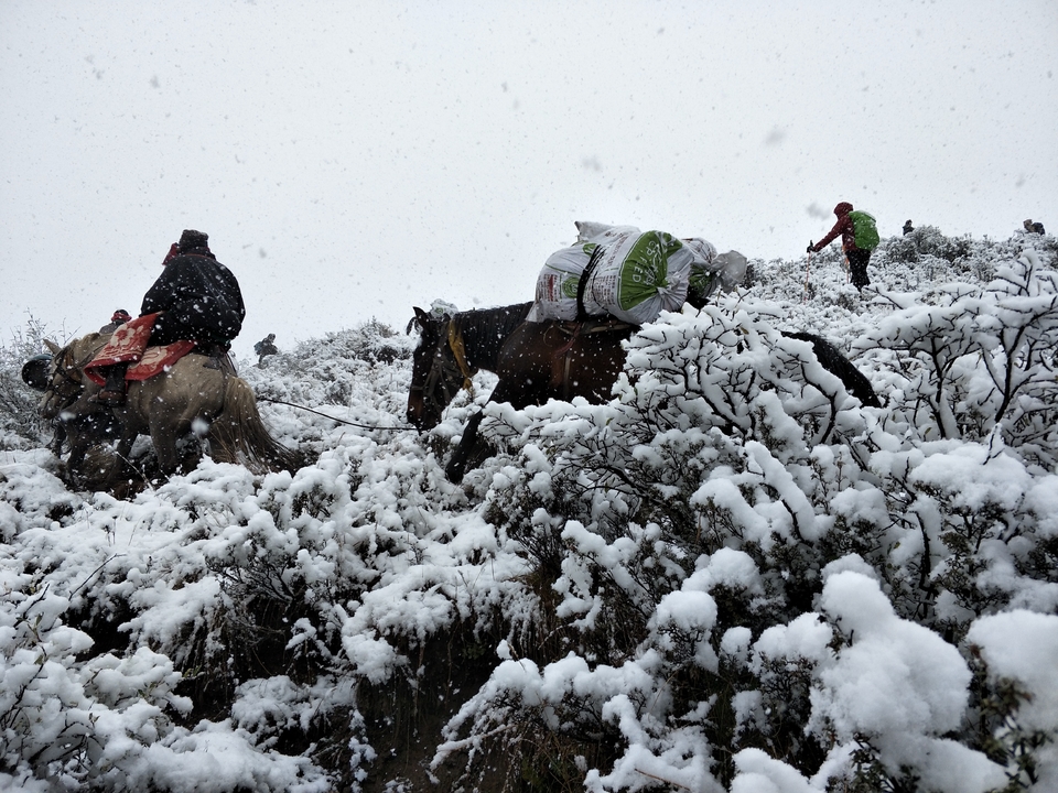 281F13C9-0304-439D-9742-49ADB69B95D1-2976-00000446A6B12C9A_tmp