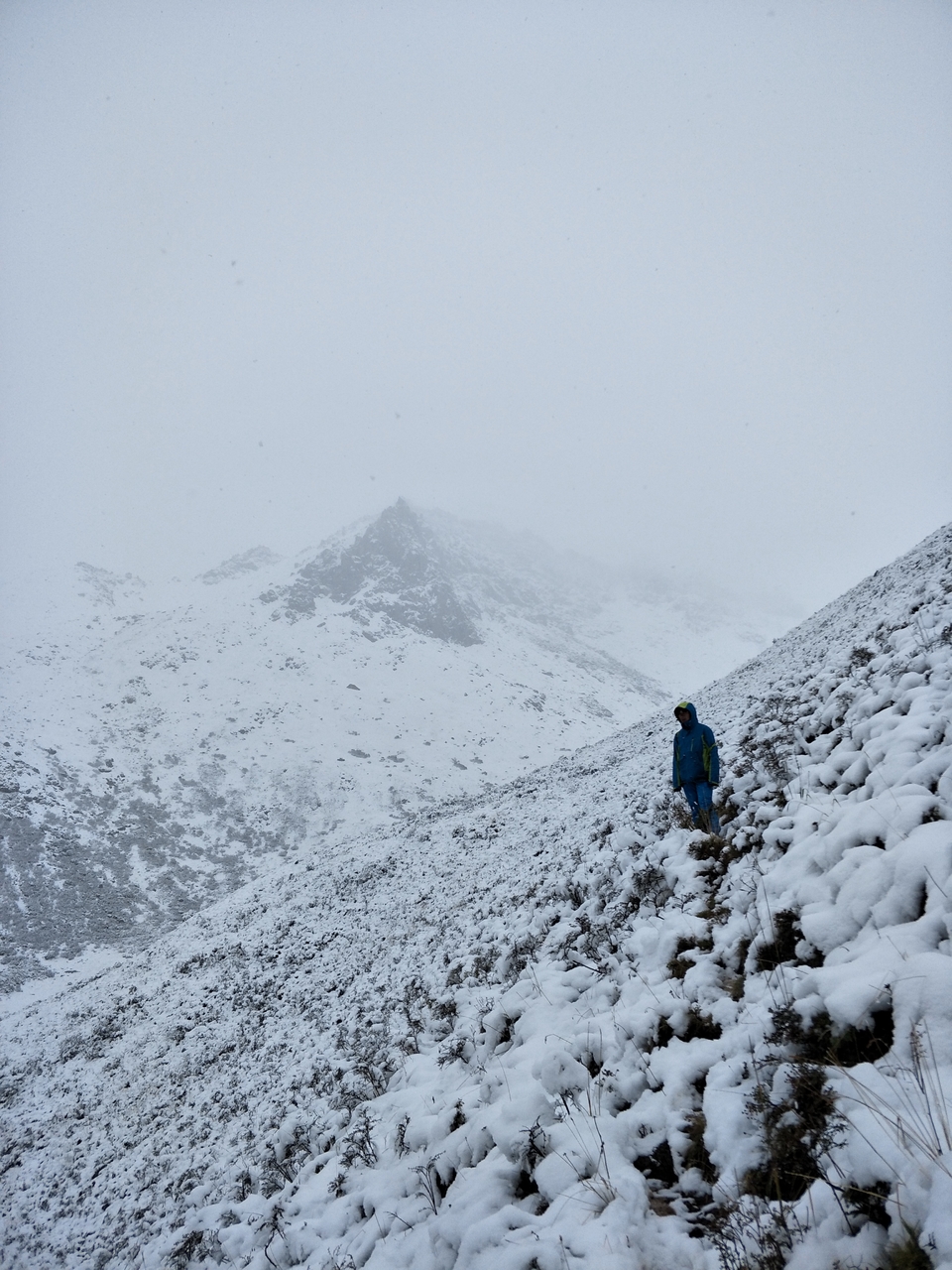 7CB012AB-BF9D-4002-9A4E-EC2156FEDCC0-2976-00000446A0F983DF_tmp