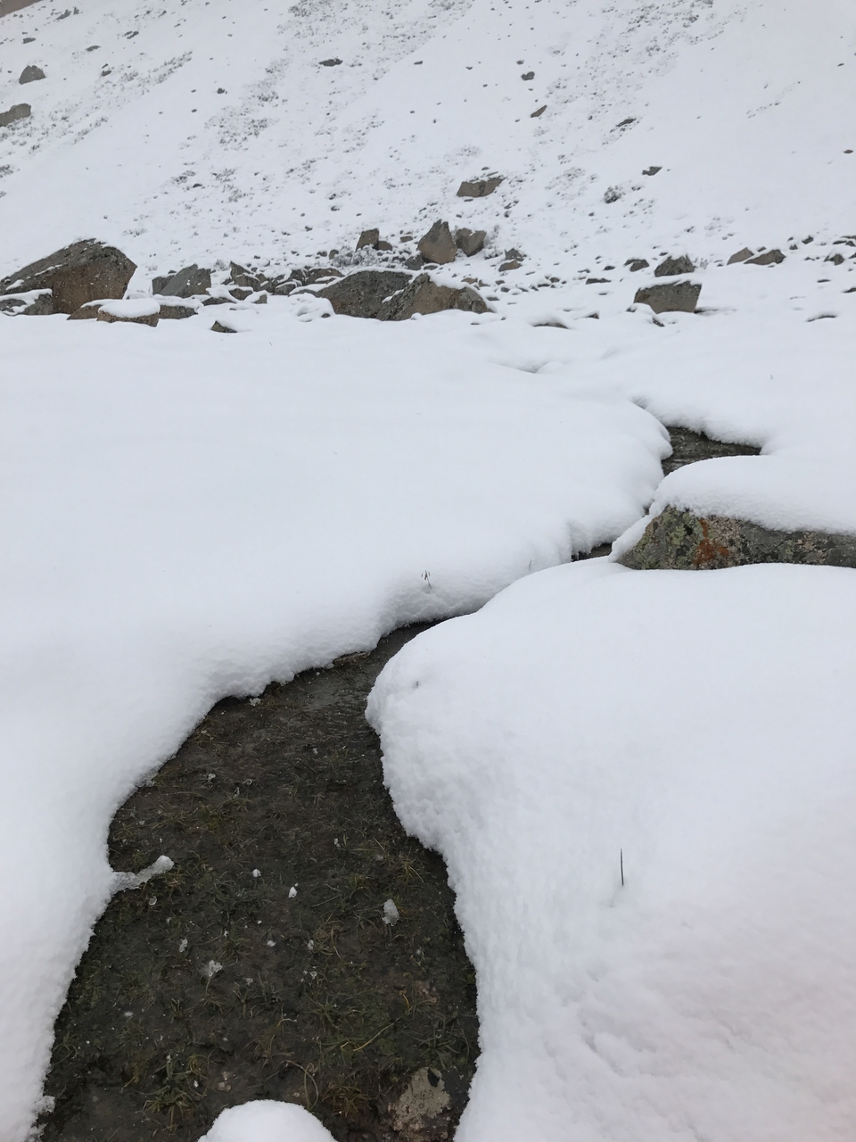 1C156D77-0F3D-499D-874E-5F0D9DFF53E9-2976-000004480113C313_tmp