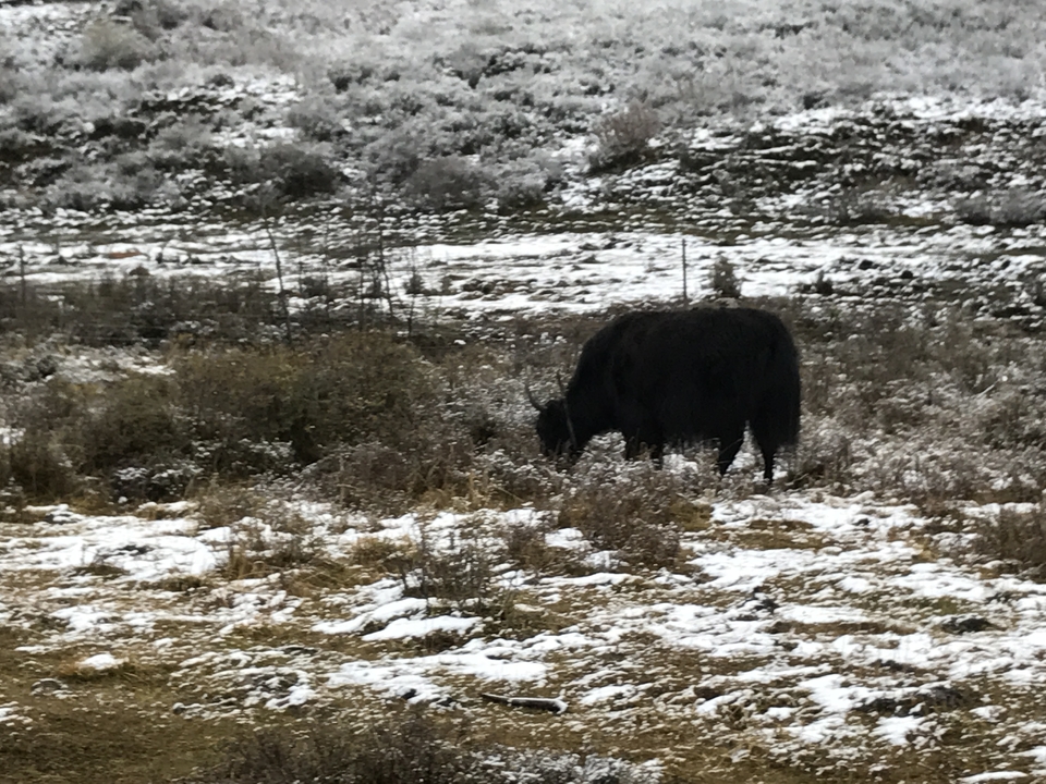 2A133975-3DA2-4AD2-AF42-E94C6A851D65-2976-0000044808DFB58C_tmp