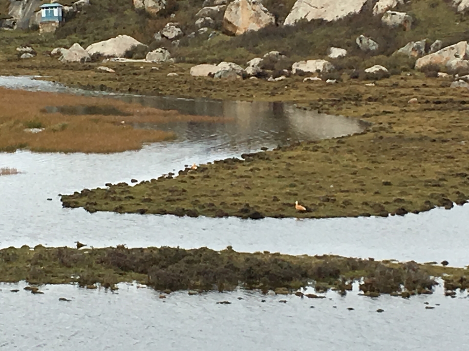 5CDC3F7C-1F44-4888-AD54-1E7F420709EB-2976-000004479E078DFB_tmp