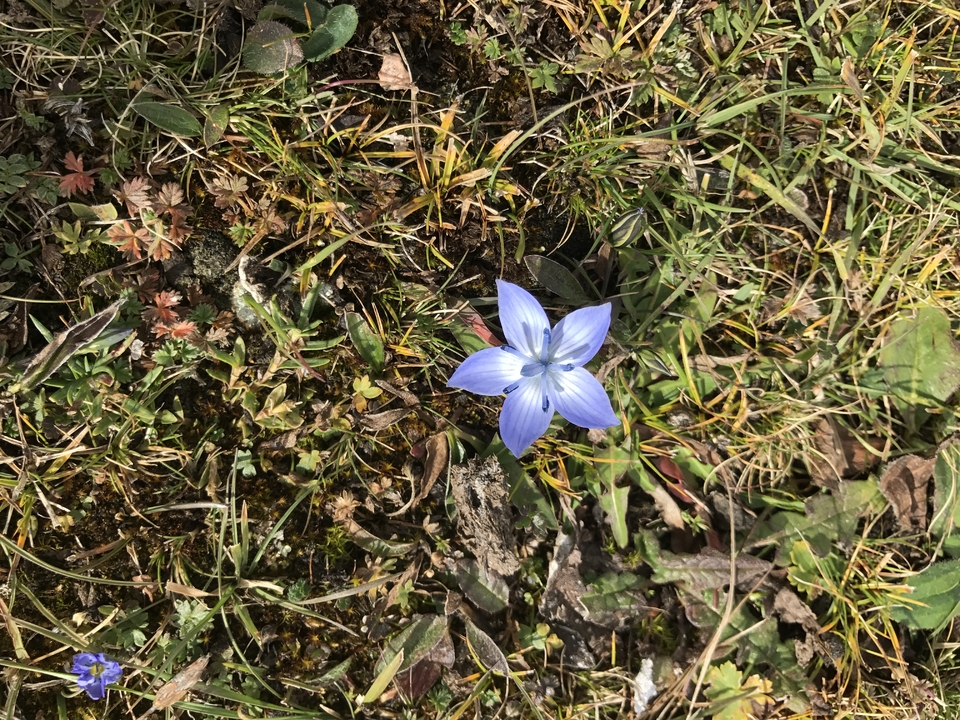 F9660A23-CC72-4D45-A7E1-836717955773-2976-000004481E048DD2_tmp