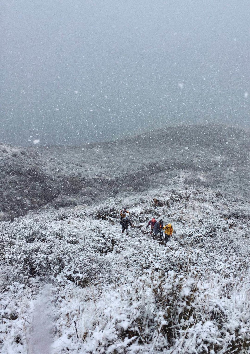 0E8B8638-4714-48B2-B1E9-1AC9B2418091-2976-000004458120192E_tmp