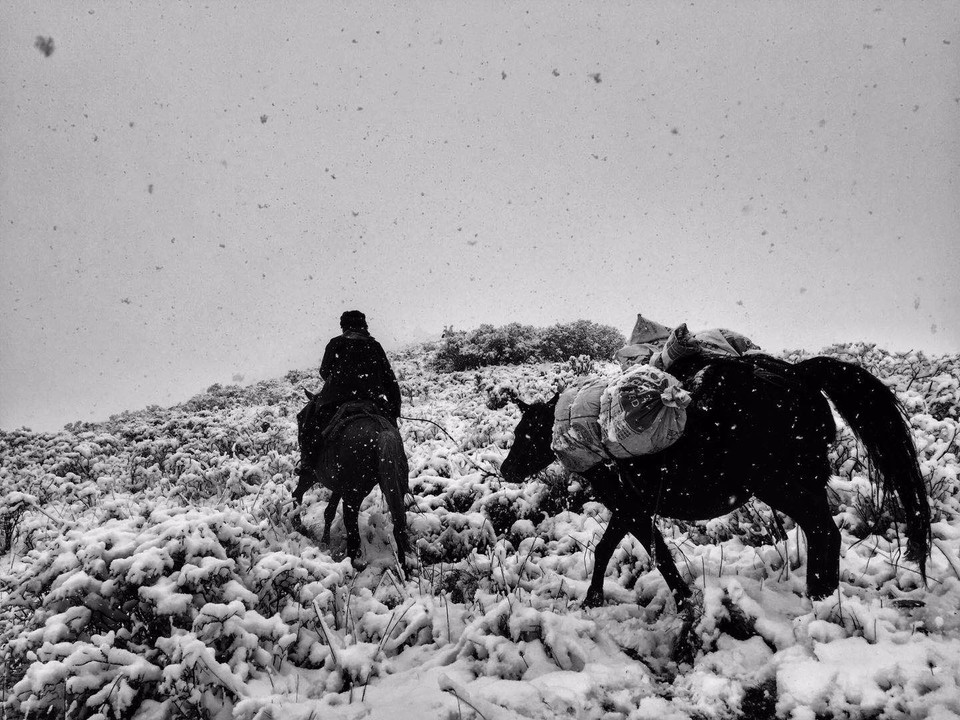 00152E38-ECEC-4CF3-82D3-7F5530E907DF-2976-000004458F253A7E_tmp