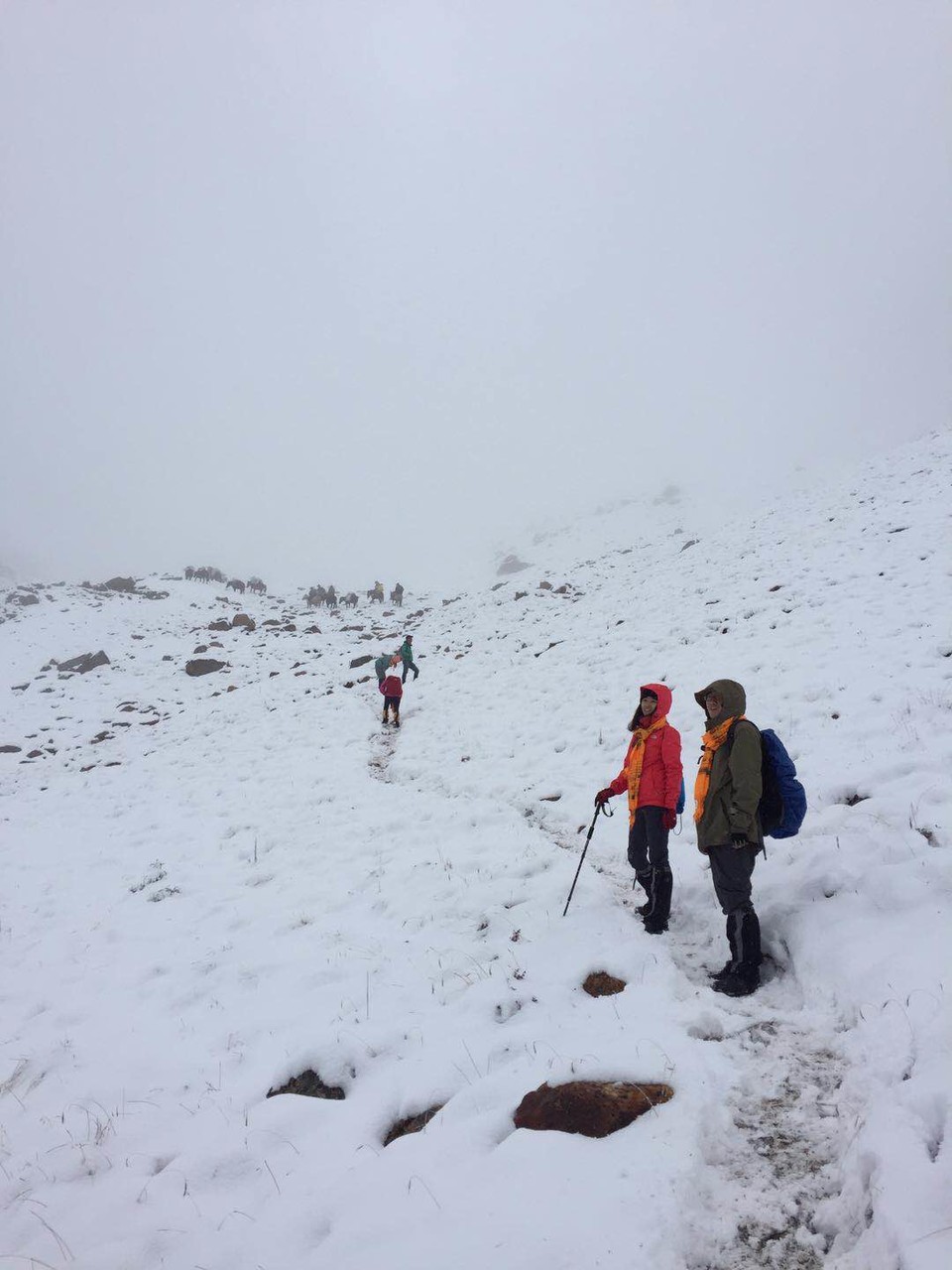 1A2C6A3D-2764-4057-965A-E5271F922D49-2976-000004482CECE897_tmp