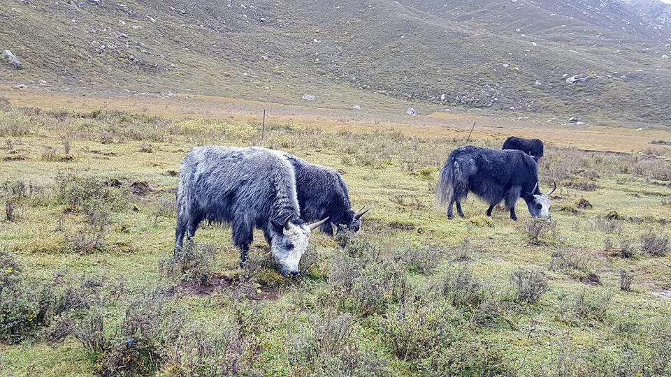 A38C0D89-C481-4304-8A36-8D475A30C6C6-2976-00000448B5AA6083_tmp