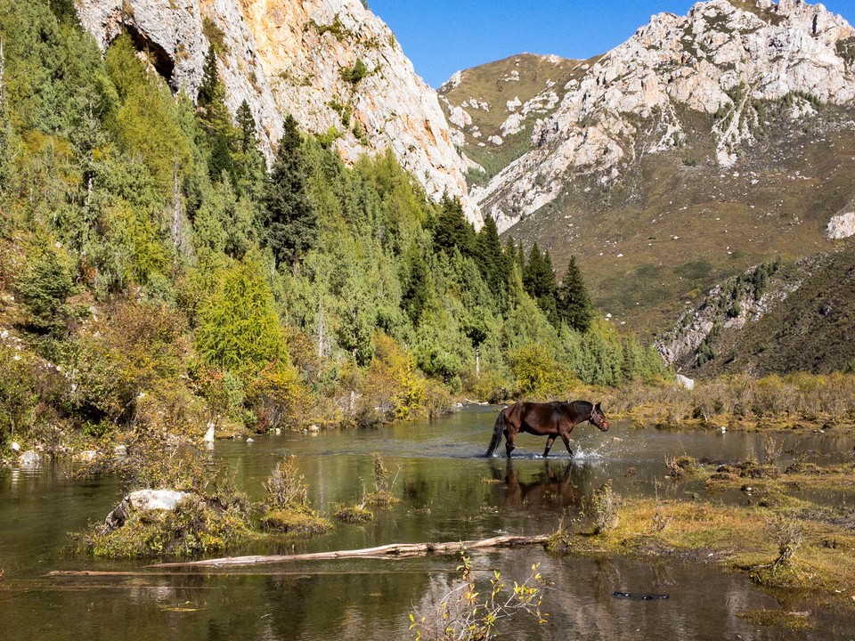 A587E3BB-10CC-4CF6-AE4F-D1BF0C18A985-980-000001AE5F0C1250_tmp