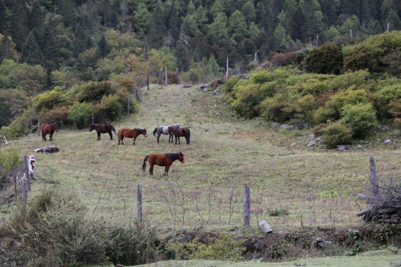 7903BC01-3FFA-44D7-A049-4741E0CA150B-2976-00000441627DEA7D_tmp