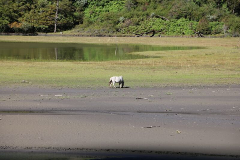 4CB22326-D54B-4D16-9101-FCF1DC935811-2976-000004416E4522D0_tmp