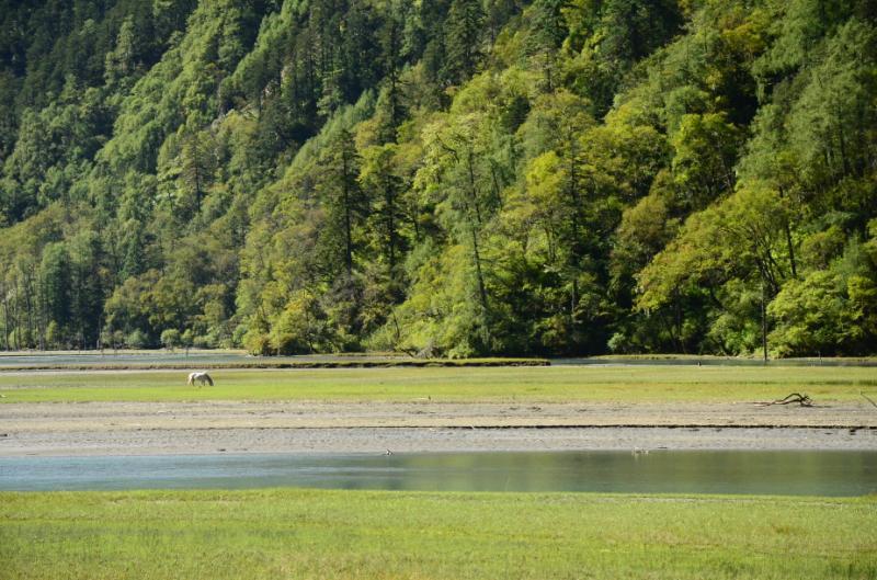 7521407E-2F2E-4867-9565-2E799305534A-2976-000004419EF5FA84_tmp