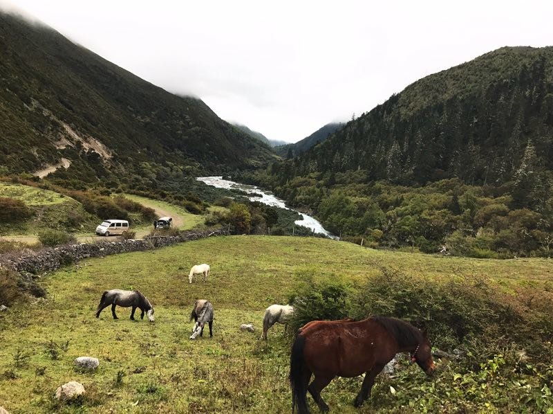 B1651D84-F569-4898-93E3-14B73D4DEFC7-2976-00000442FD95B7D4_tmp