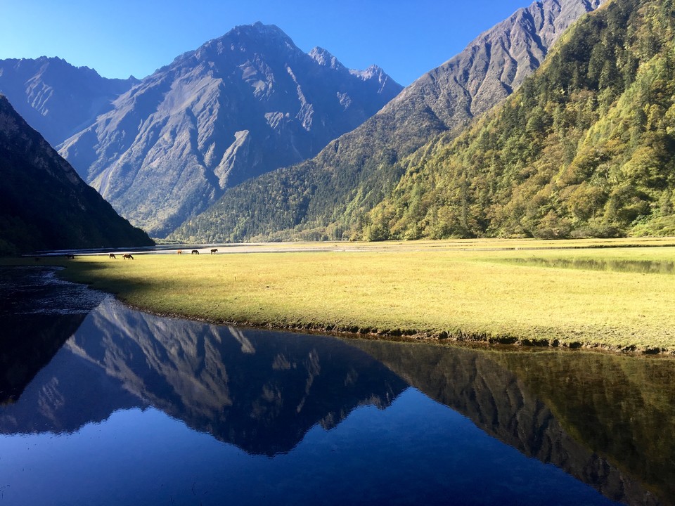 84501E8B-DB11-412A-961F-4BC1C6CEC4C0-980-000001B2BD4927B0_tmp