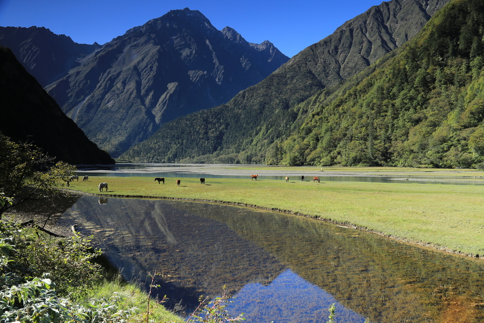 68EA0911-A37B-4E20-8F73-A15F324B27C4-980-000001B26AF277D6_tmp