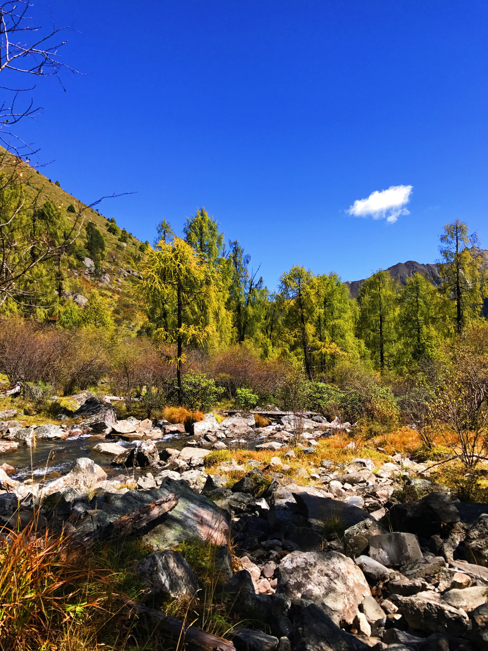 8761F6FC-3D68-45A7-BDF9-4DF601251335-430-000000870D520068_tmp