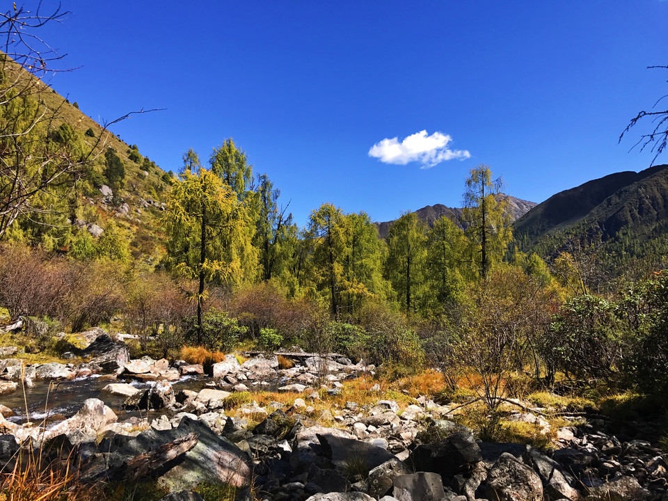 807835B8-1754-4BF7-9949-6A86AEF62E1A-430-0000008719E2C0C7_tmp