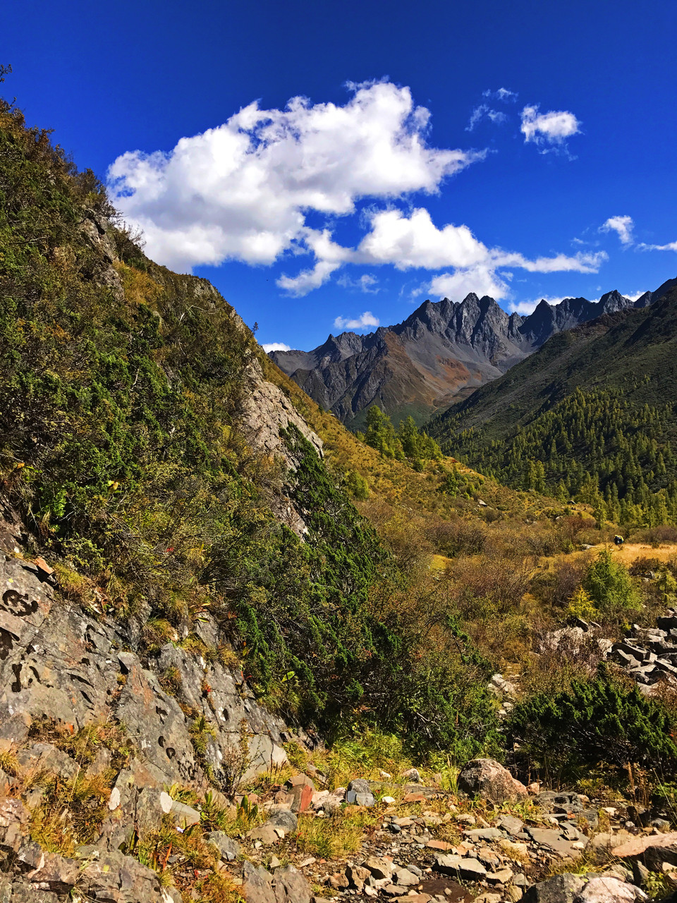 D6478A7A-DC5D-4B48-8D01-59F92EFE2FC4-430-0000008707DCA017_tmp