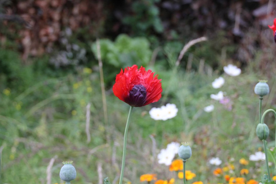 93ACCC4B-FEF9-4054-94ED-7472C1D49C7F-430-000000871F7133A5_tmp