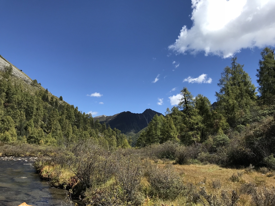 E1D2CCA3-4F6A-467F-9DD8-953C690AF0B7-430-000000879860EA20_tmp