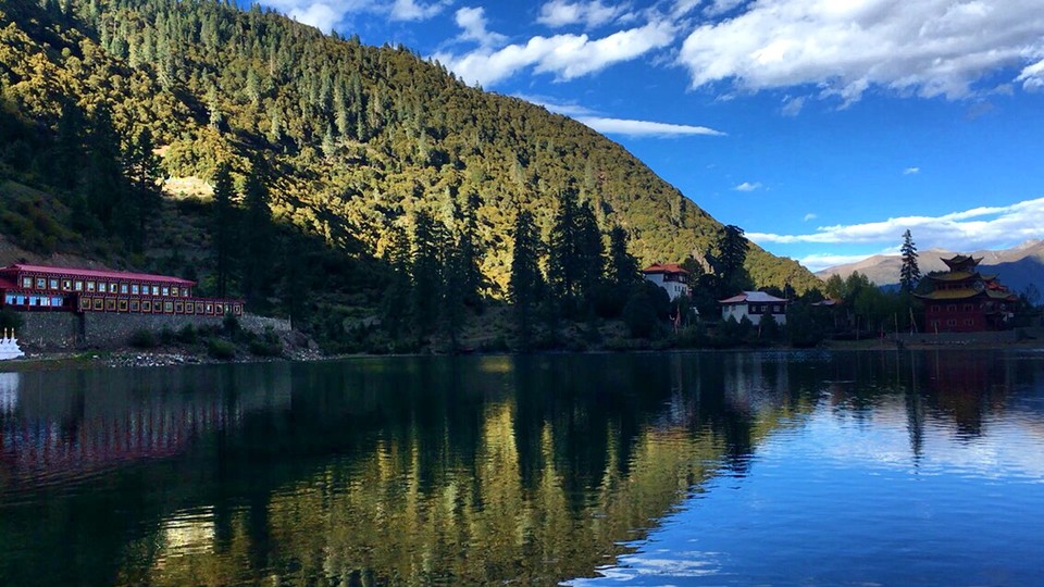 3E903F33-0202-4DF5-BD28-65E1DD5C1016-3215-000004B8EFD1146A_tmp