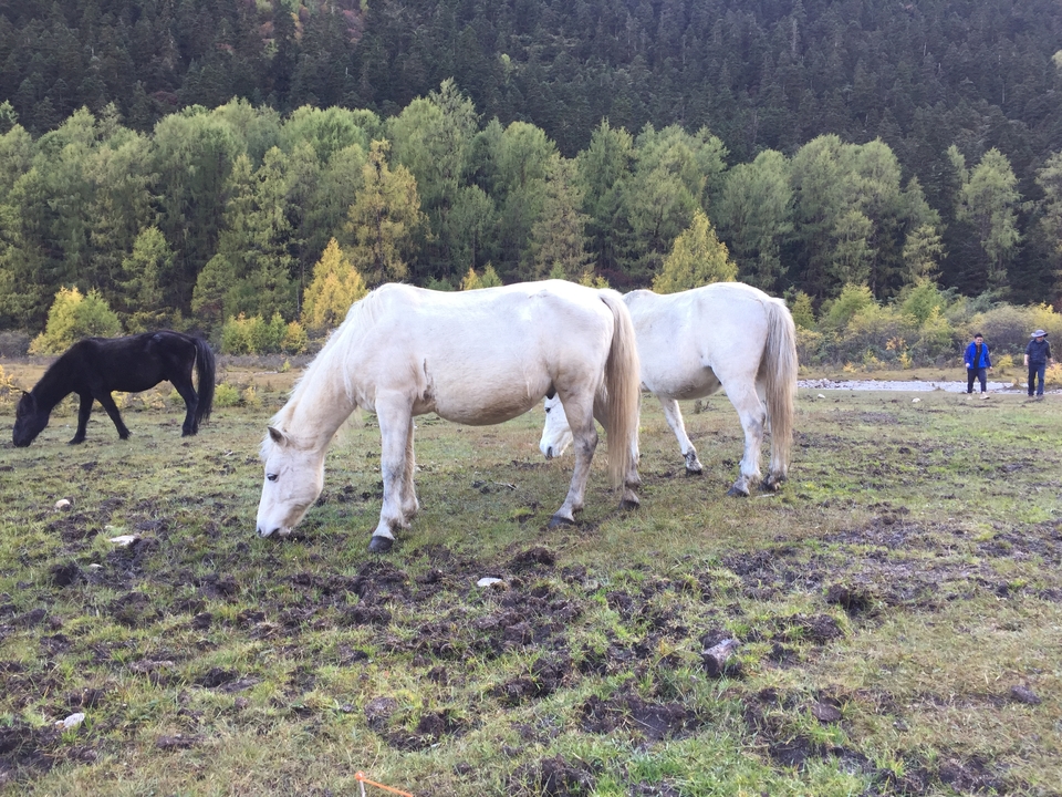 3388D2D6-9DF8-4A81-A837-249165A7D13A-1148-00000162F5D2EA67_tmp