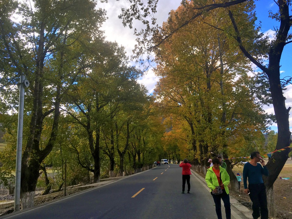 787CD61C-AD2F-4BF1-9392-70415F234CDE-417-000000A5A50697E8_tmp