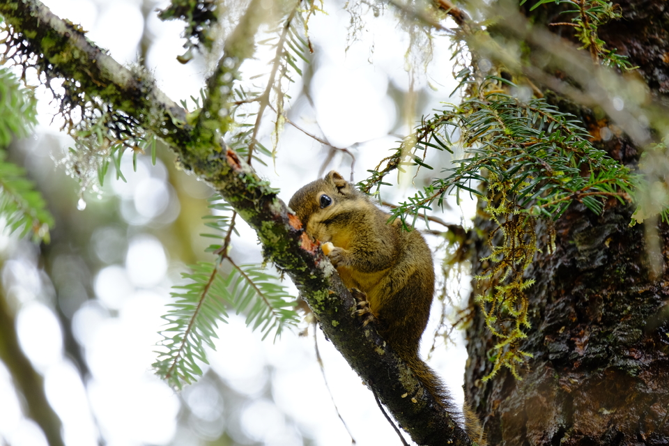 3C5AF80E-0357-4EC1-B3BE-8AC1455447DB-417-0000009DB11ABCA5_tmp