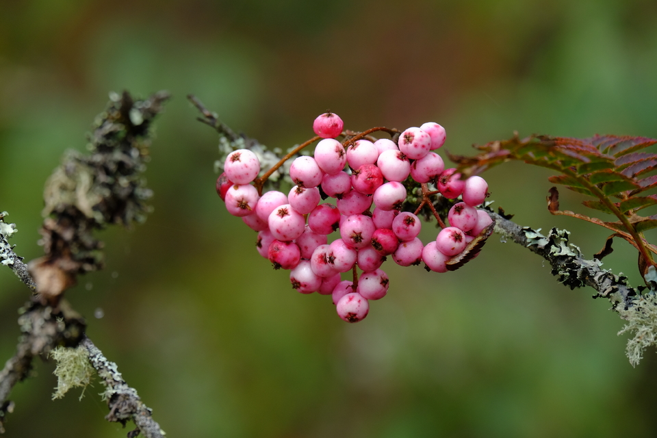 893AF94B-F4FC-4261-ABB5-B46064CB4793-417-0000009D656BA958_tmp