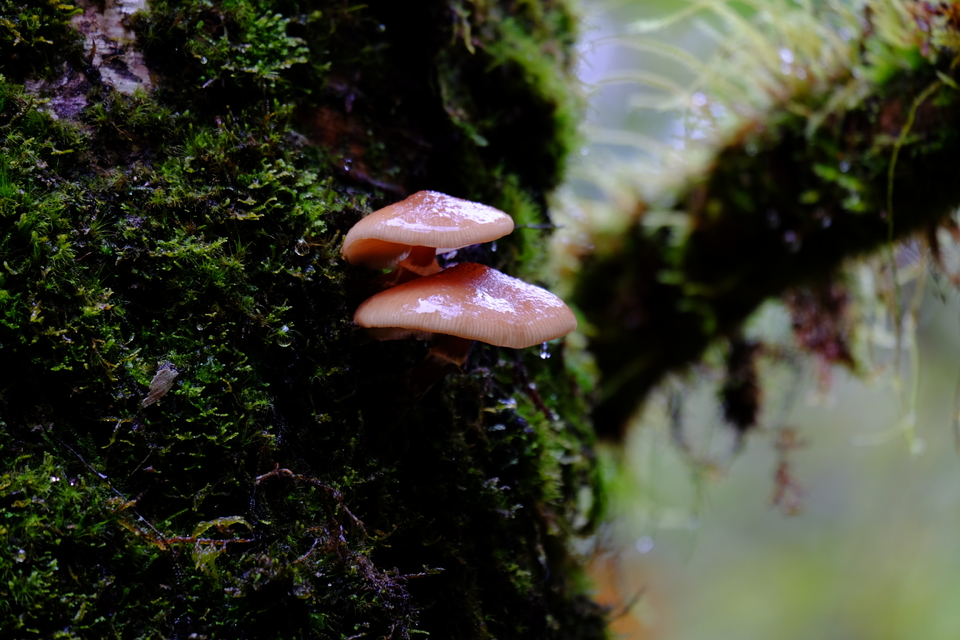 F0CCC1FA-43AA-4790-8D28-F096BDB76BB5-417-0000009DD9789C27_tmp