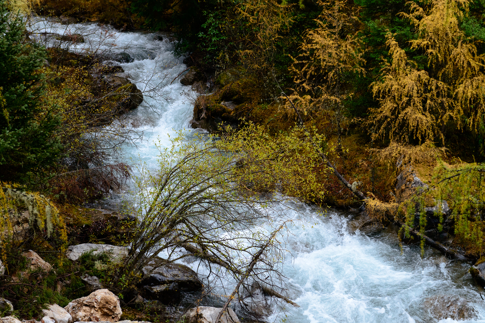 BA5323FB-6F96-420F-BDE8-F4706143BA9C-2201-00000339E65C9680_tmp