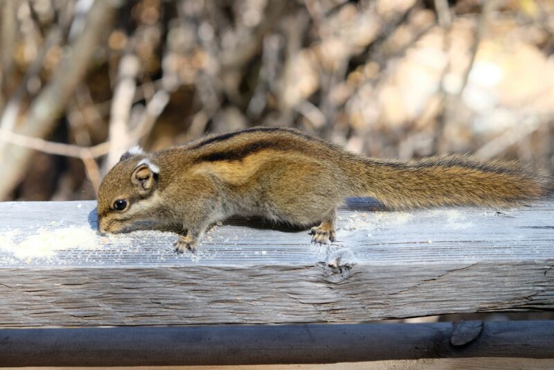 31397341-9E9C-4C3B-9C00-5357F9040806-2201-0000034353D85E02_tmp