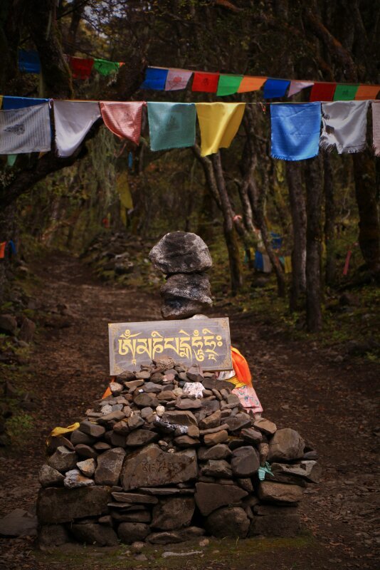 74719C21-3852-4D21-98F2-E622902EA43A-2201-0000034068CA09AD_tmp