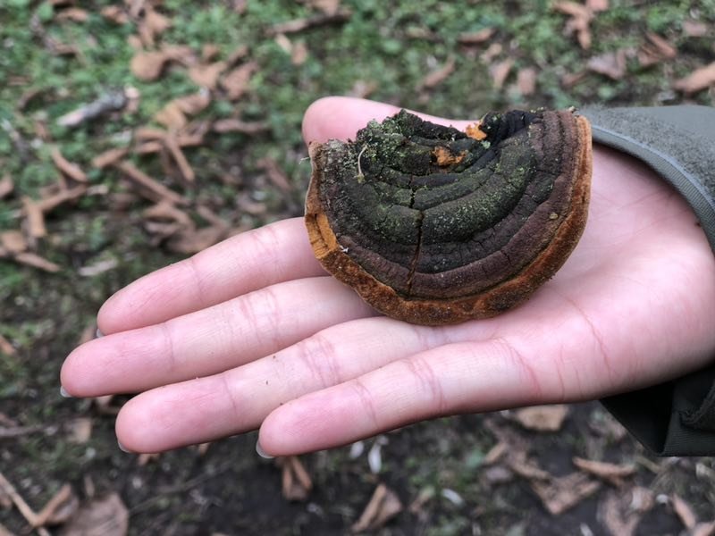 062E51DC-B3A6-4F6C-8FEA-7D0087D30782-2201-00000341137CE46E_tmp