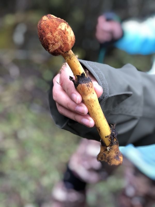 1BEFCB50-4DE3-49BB-914D-720F82F21BEB-2201-000003411A925FF5_tmp