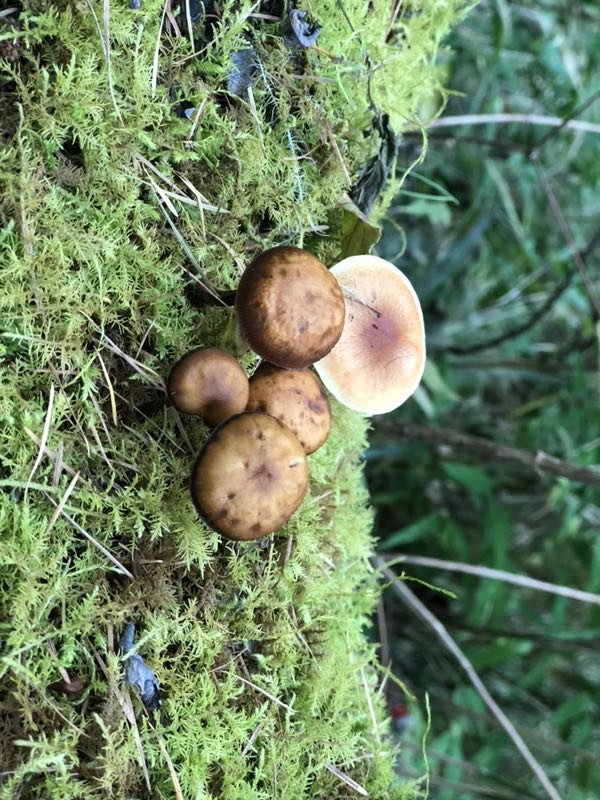 2AC97B38-5F58-439F-88BC-EFD6125FF489-2201-0000034143886612_tmp