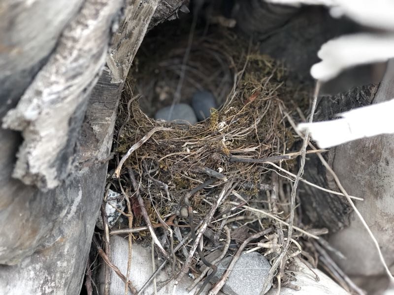 A004630C-1F3A-4B37-81BF-6051BCB901DF-2201-00000341A3D14E7D_tmp